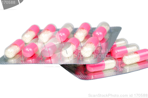 Image of Antibiotic