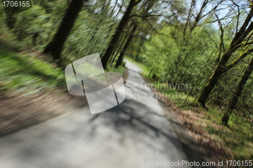 Image of  forest road speeding