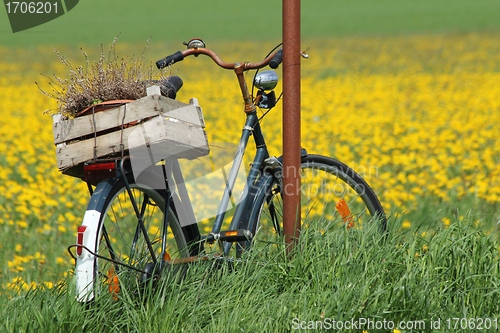 Image of countryside bicycle
