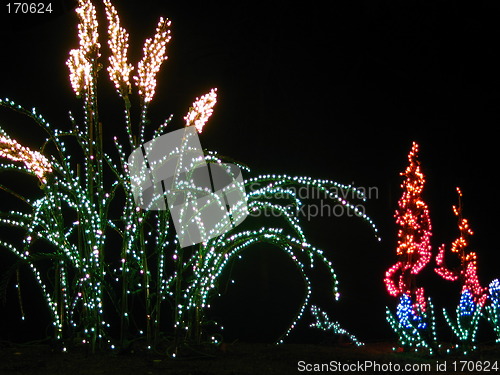 Image of Light Display