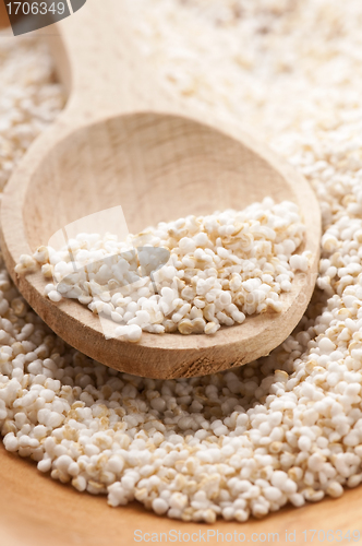 Image of Amaranth popping, gluten-free, high protein grain cereal