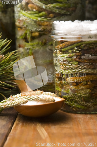 Image of Natural medicine - syrup made of pine sprouts 