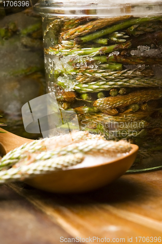 Image of Natural medicine - syrup made of pine sprouts 