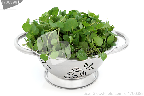 Image of Watercress