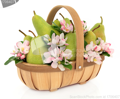 Image of Pears