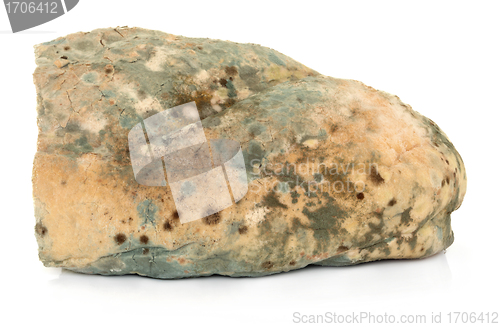 Image of Mould on Bread