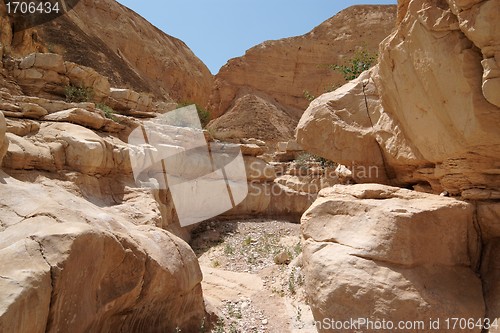 Image of Desert canyon