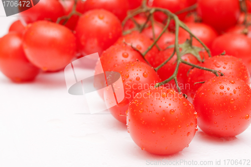 Image of Fresh Tomatoes