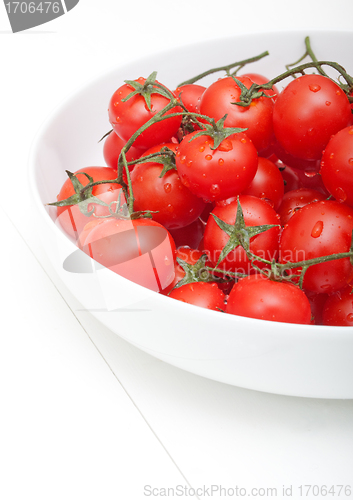 Image of Fresh Tomatoes