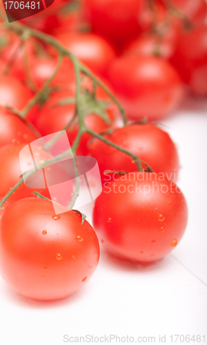 Image of Fresh Tomatoes