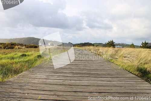 Image of path