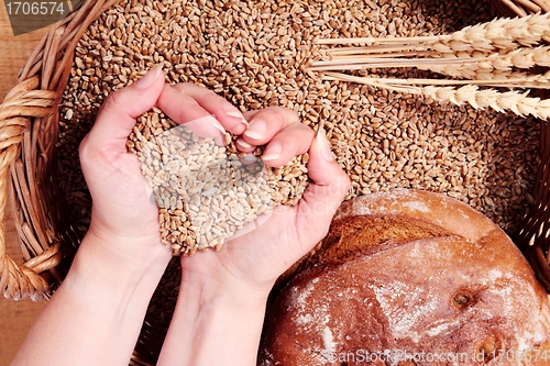 Image of Wheat Heart with bread