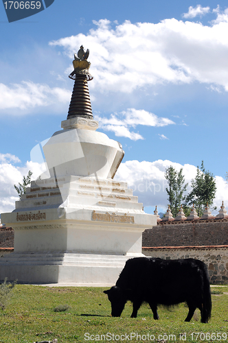 Image of Landscape in Tibet