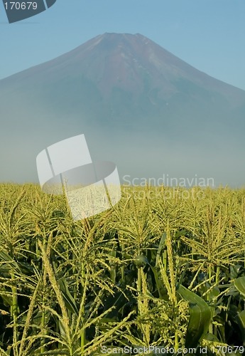 Image of Mount Fuji in Iowa