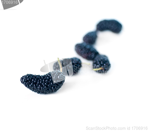 Image of fresh ripe mulberry over white