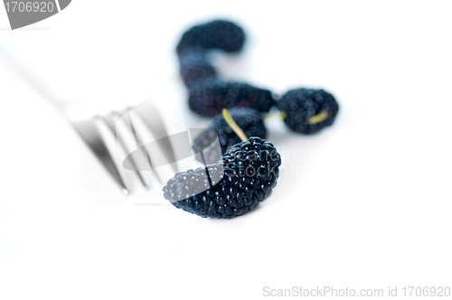 Image of fresh ripe mulberry over white