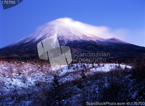 Image of Winter Wonderland
