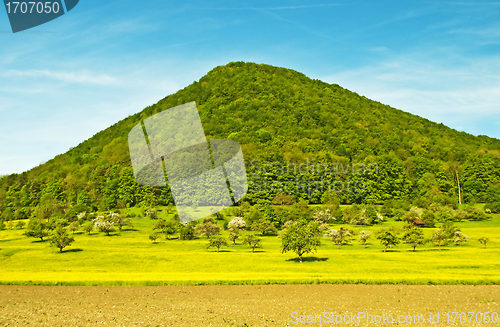 Image of landscape in spring