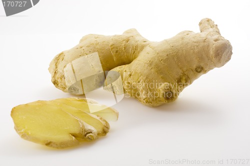 Image of Ginger