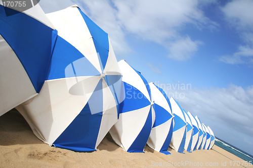 Image of Beach Umbrellas