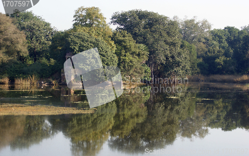 Image of Ranthambore National Park