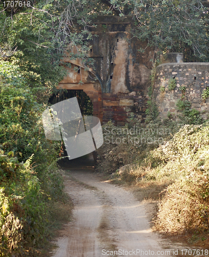 Image of Ranthambore National Park