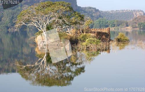 Image of Ranthambore National Park