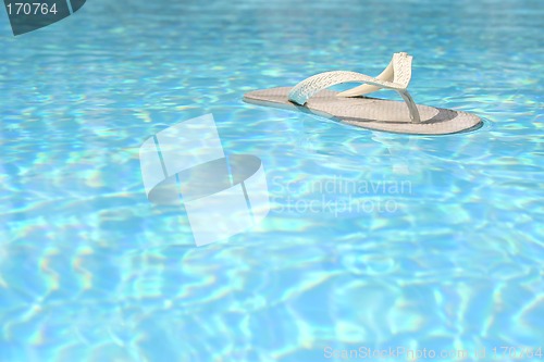 Image of Floating Flip Flop