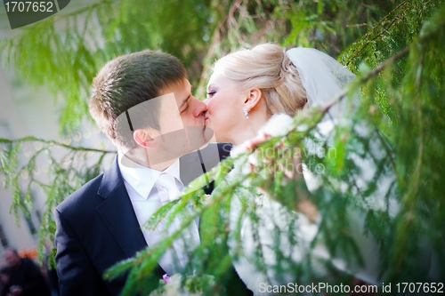 Image of beautiful groom and the bride near a Christmas tree