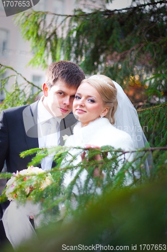 Image of beautiful groom and the bride near a Christmas tree