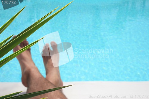 Image of Foliage Pool Legs