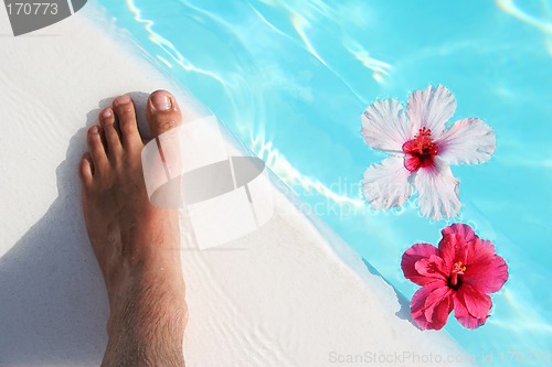 Image of Foot and Flowers