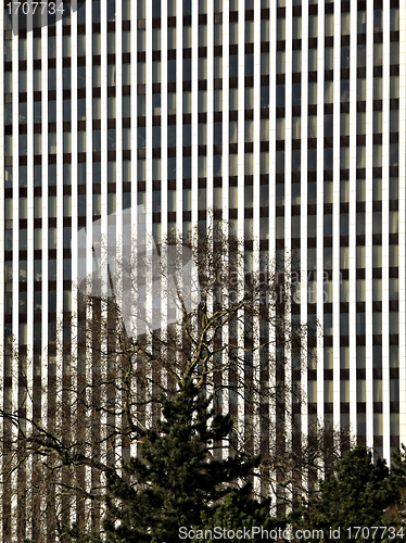 Image of Glass Reflection