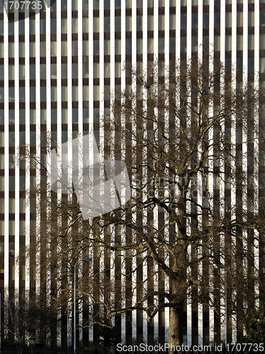 Image of Glass Reflection