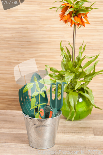 Image of Fresh herbs with gardening tools 