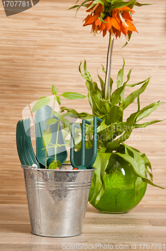 Image of Fresh herbs with gardening tools 