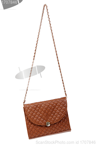 Image of The brown woman's handbag