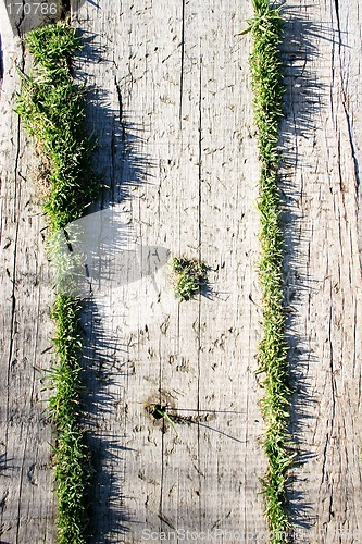 Image of Wood and Grass