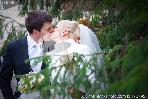 Image of beautiful groom and the bride near a Christmas tree