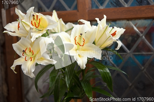 Image of bouquet of fine white lilies