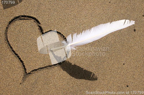 Image of Beach Love