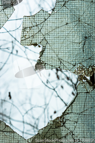 Image of Cracked window with web