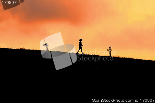 Image of silhouetted