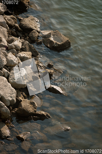 Image of Sea shore with rocks