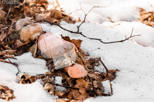 Image of Lost doll at chernobyl nursery