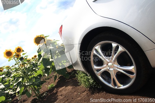 Image of New car in the field