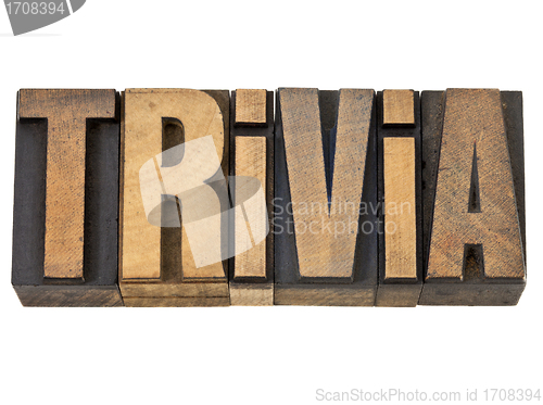 Image of trivia word in wood type
