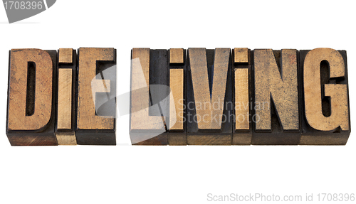 Image of die living advice in wood type