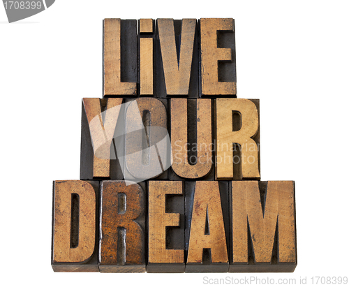 Image of live your dream in wood type