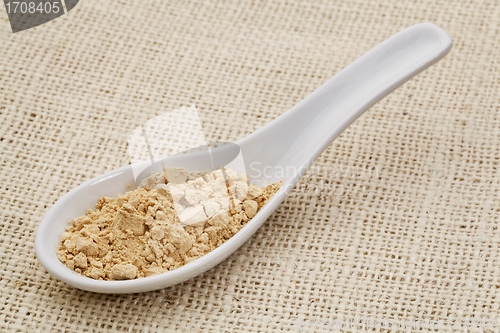 Image of maca root powder on a ceramic spoon